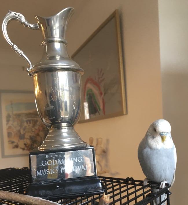 Mobirise Website Builder